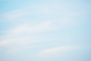 FRESH BREEZES FOR YOUR SUMMER LIFE