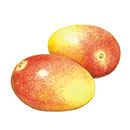 マンゴーバター