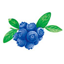 ブルーベリーオイル