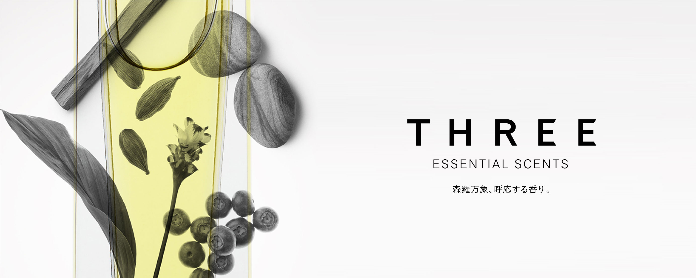 THREE ESSENTIAL SCENTS バナー