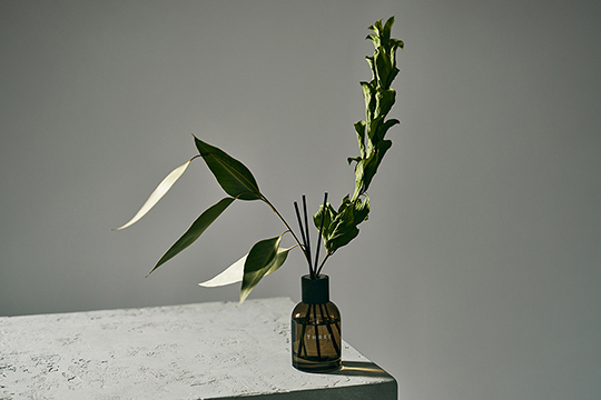 THREE ドライプランツ ディフューザー クラフト