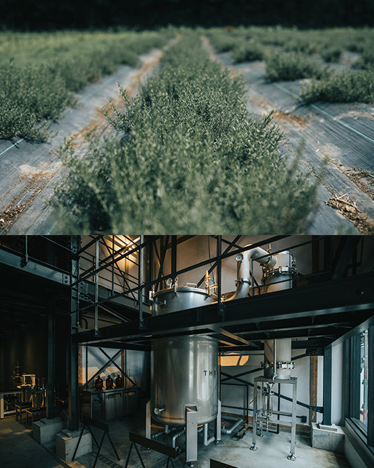 THREE Aroma Distillery 体験型コンテンツ