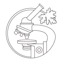 THREE 2026 SPRING COLLECTION THREE独自の精油科学