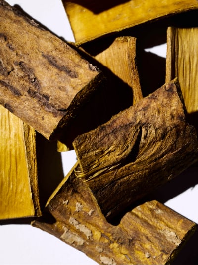 THREE バランシング バリア ブライトニング セラム オウバクエキス