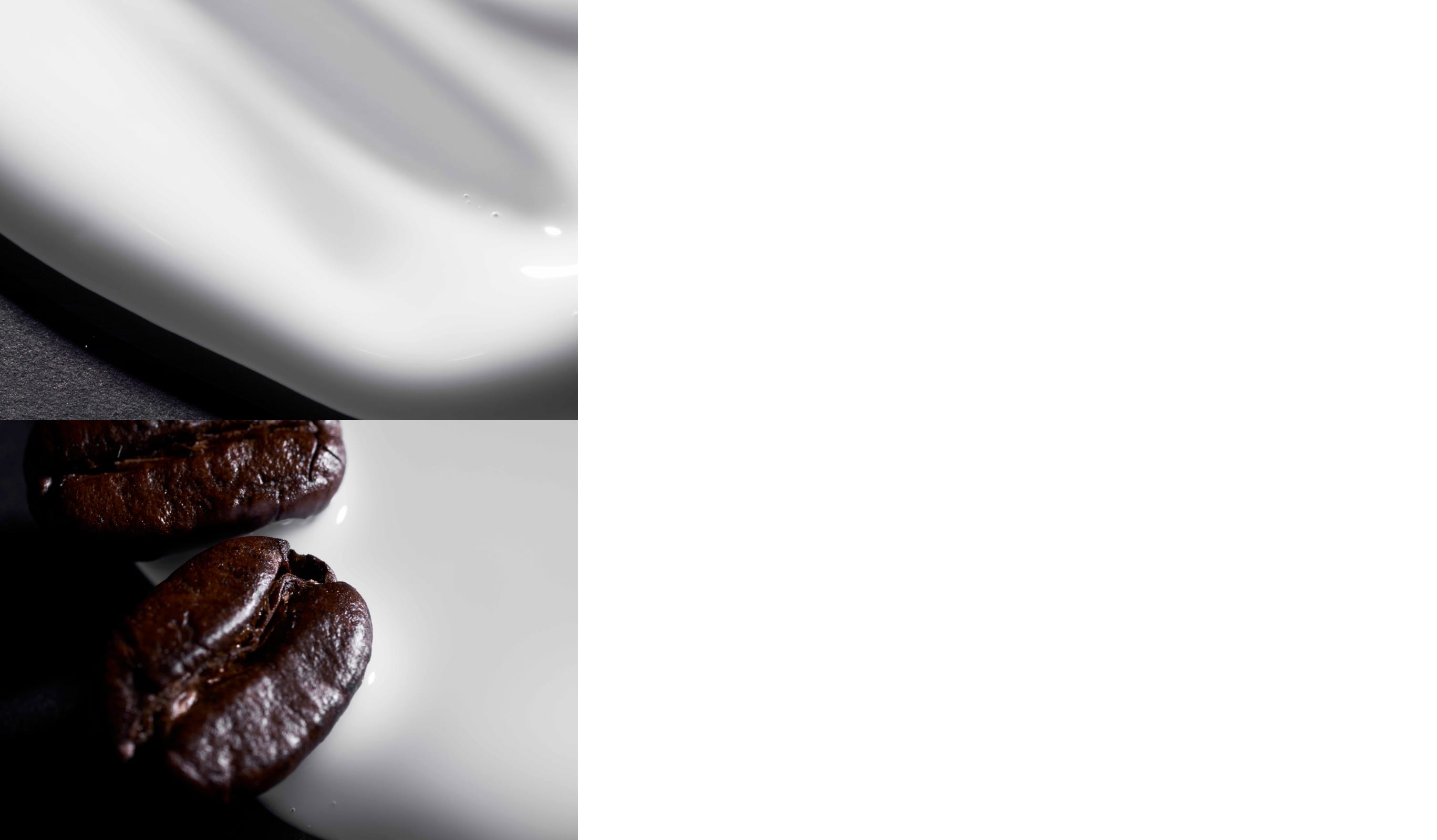 THREE バランシング バリア ブライトニング セラム コーヒー豆 2