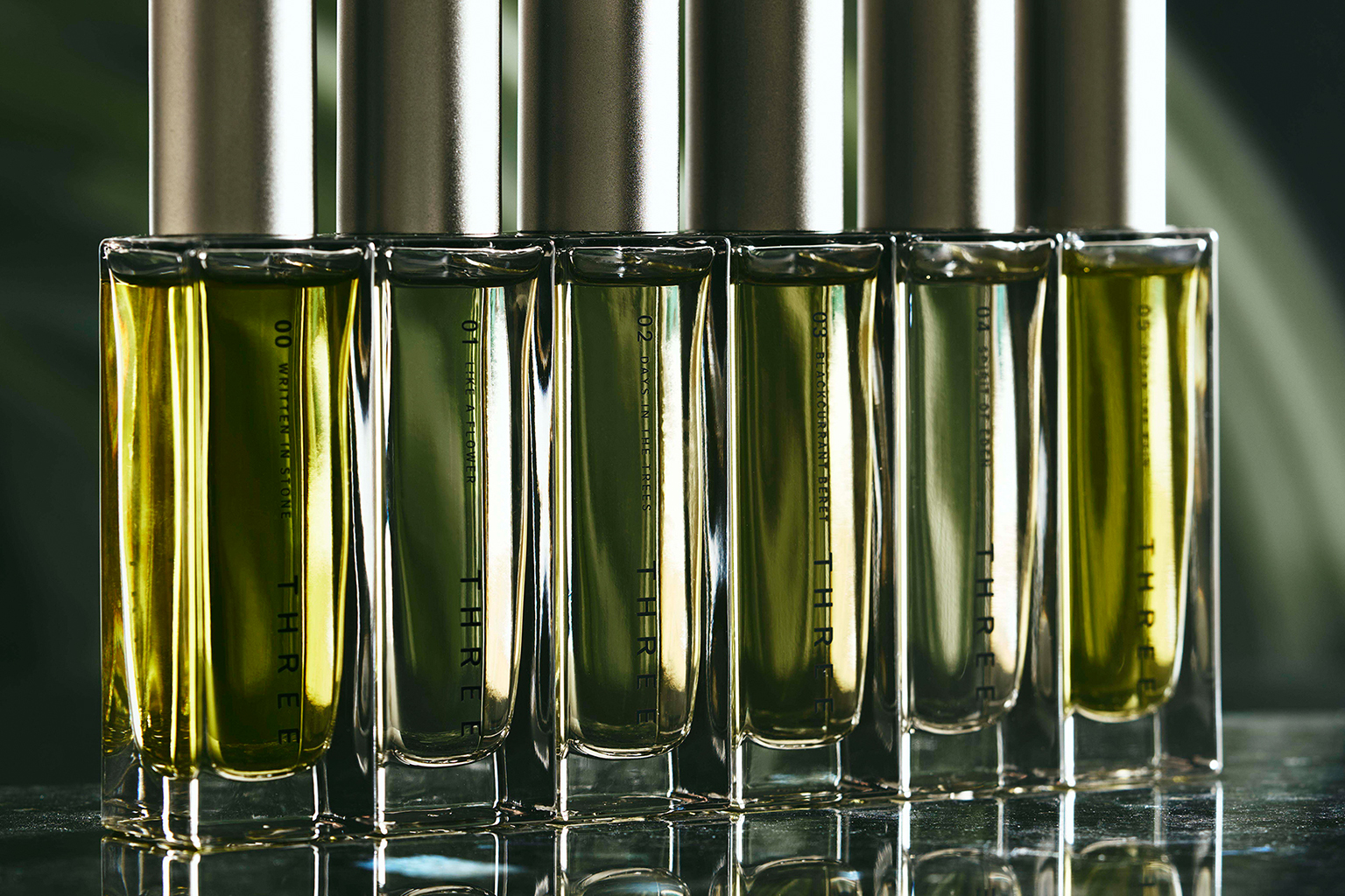 THREE THE ROOM OF (IN) SCENTS 京都府立植物園 LIGHT CYCLES KYOTO エッセンシャルセンツ R 販売