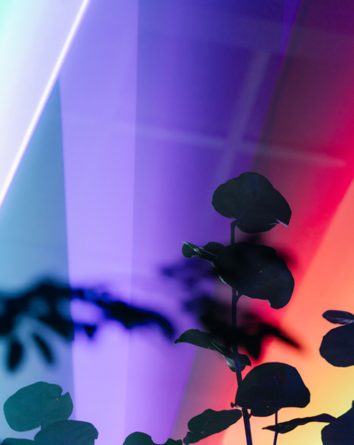 THREE THE ROOM OF (IN) SCENTS 京都府立植物園 LIGHT CYCLES KYOTO 観覧温室 夜 2