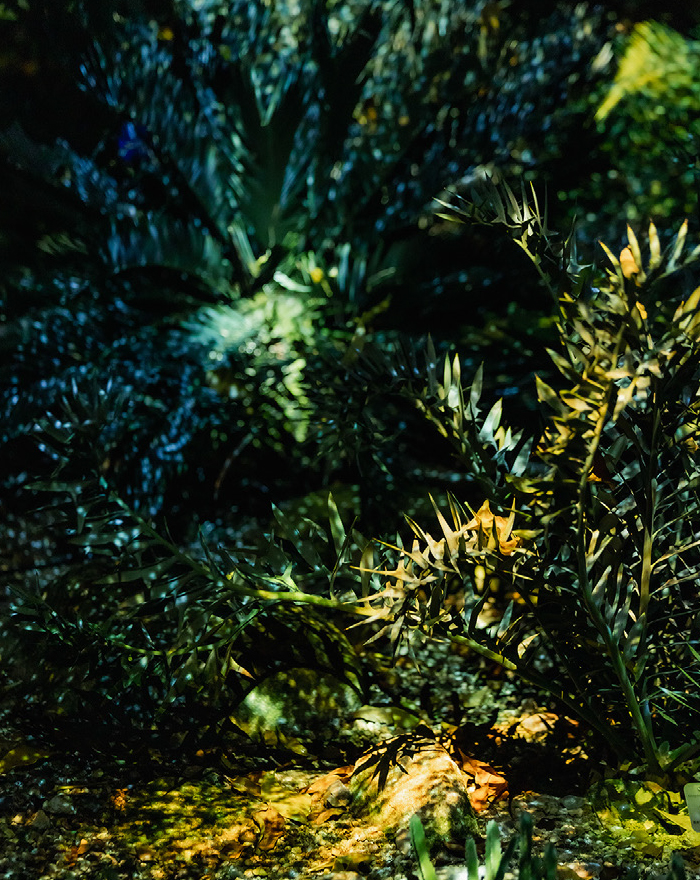 THREE THE ROOM OF (IN) SCENTS 京都府立植物園 LIGHT CYCLES KYOTO 観覧温室 夜 3