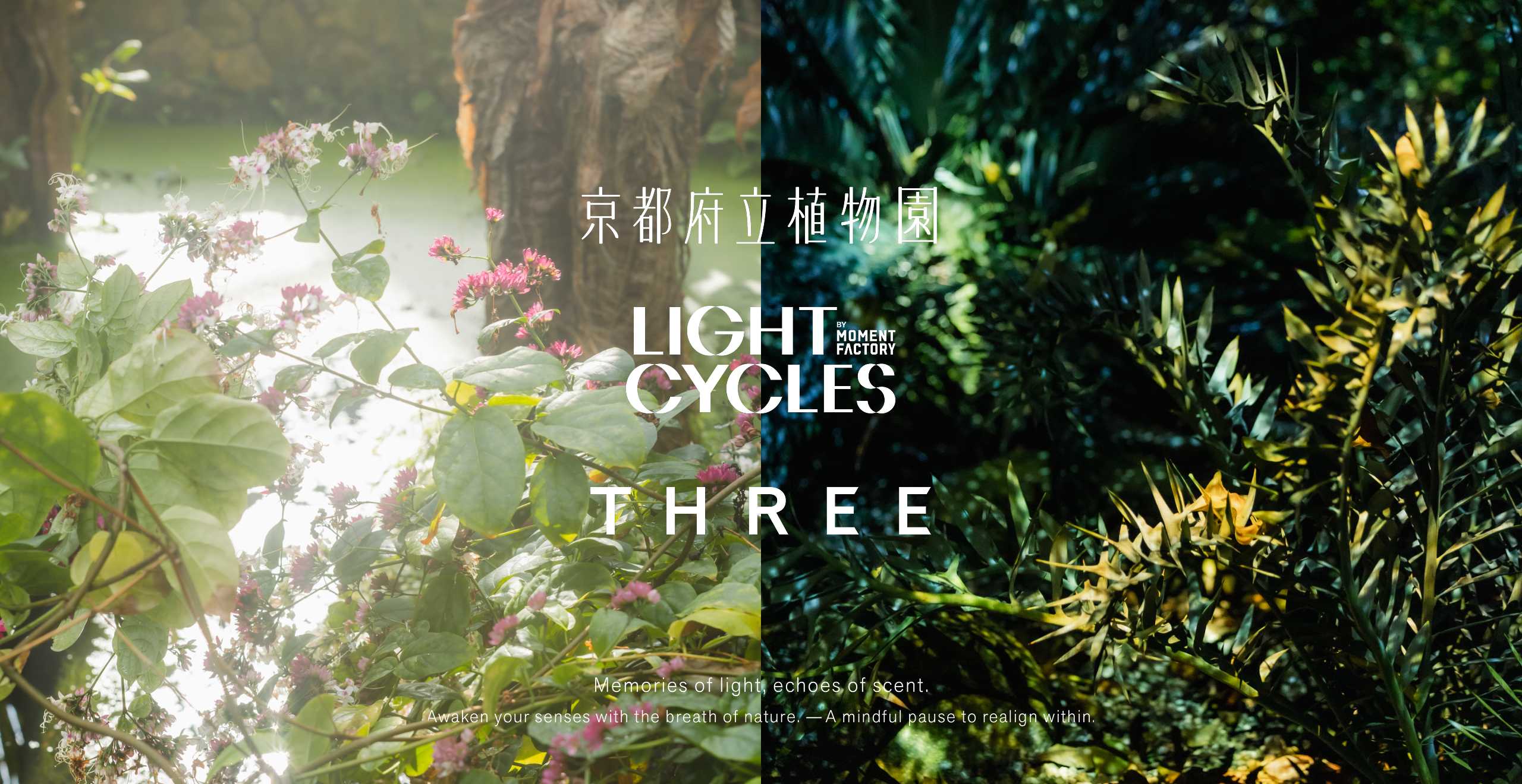 THREE THE ROOM OF (IN) SCENTS 京都府立植物園 LIGHT CYCLES KYOTO メインビジュアル