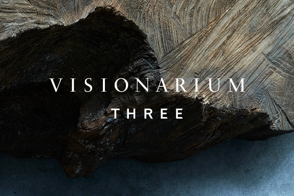 VISIONARIUM THREE