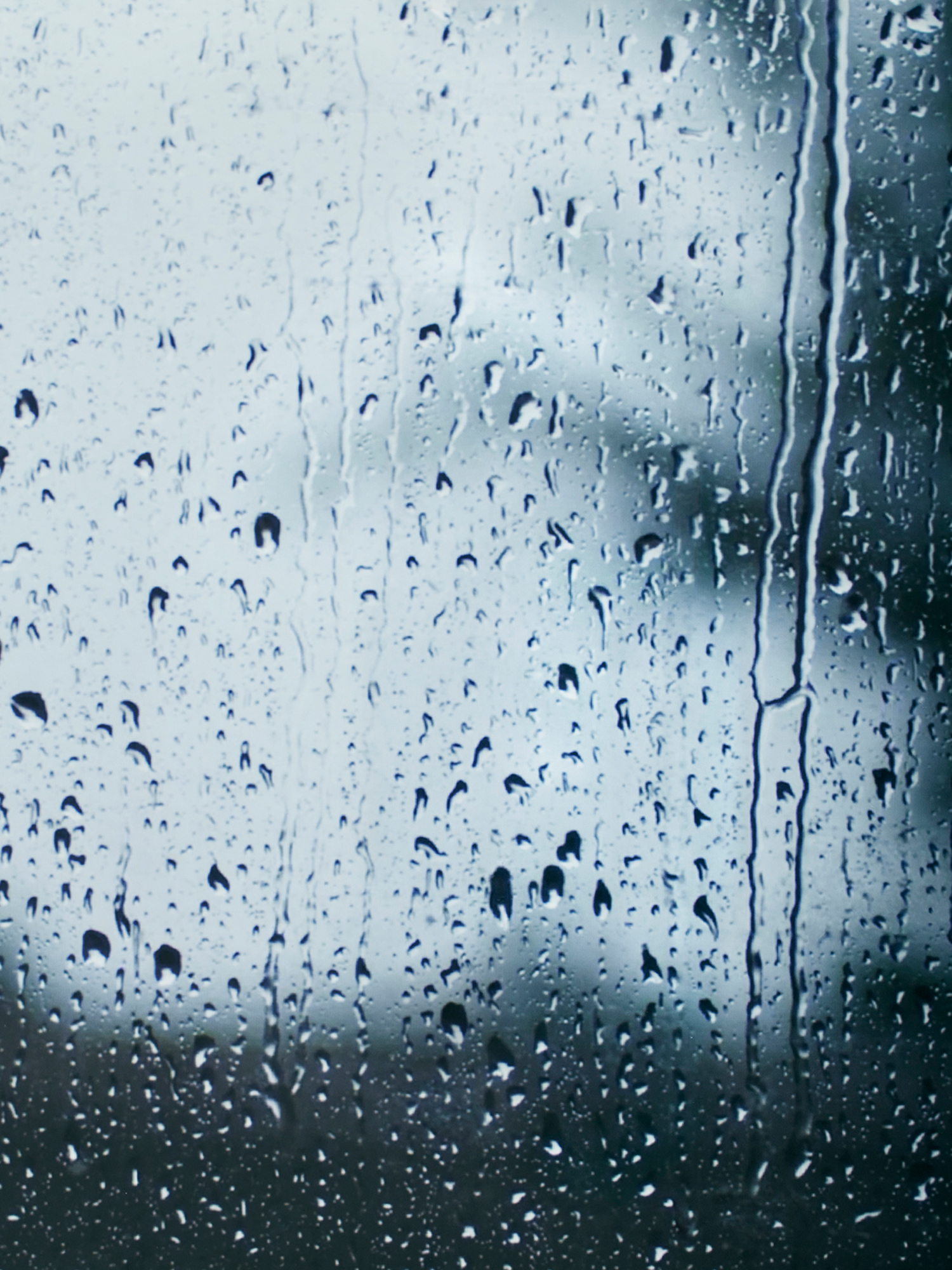 雨季ならではの香りの楽しみ方。精油フレグランスで心地よい時間づくりを。