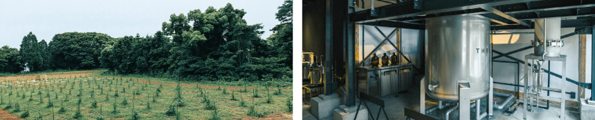 THREE ハーブガーデン