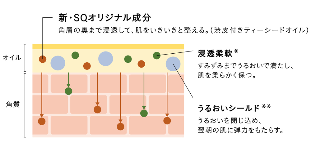 浸透(角層まで)型オイルセラム処方